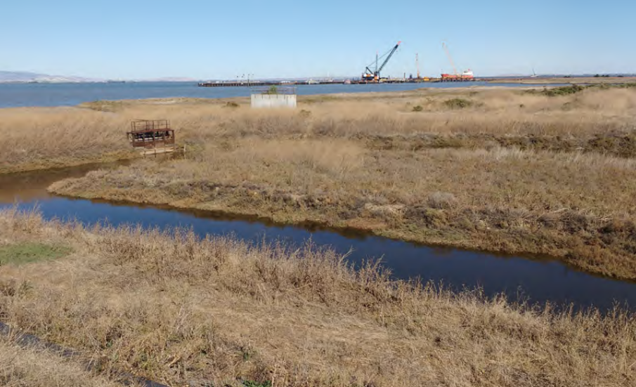 Photo of Lower Walnut Creek restoration site