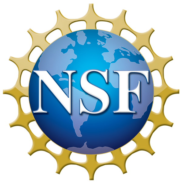 Photo of National Science Foundation logo