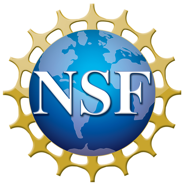 Photo of National Science Foundation logo